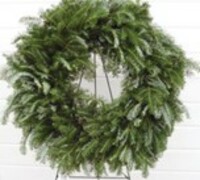 Undecorated Wreath - $25